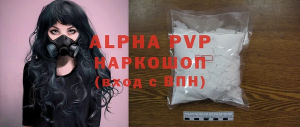 PSILOCYBIN Щигры