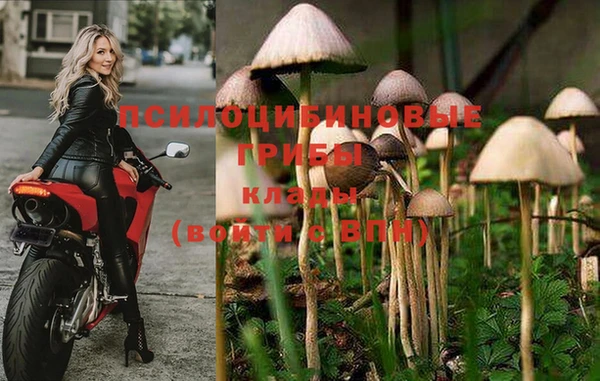 прущая мука Щучье