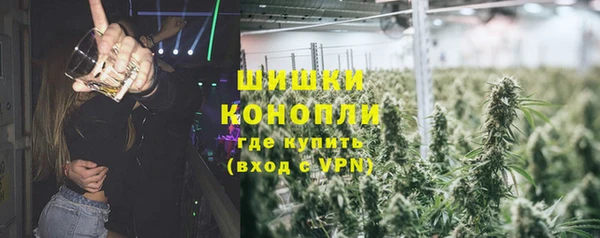 дживик Фёдоровский