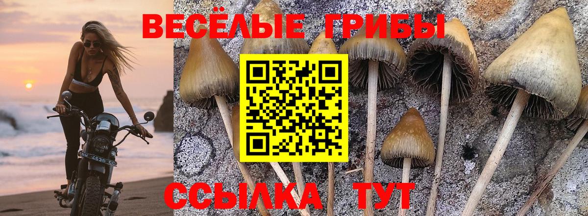 Ангарск  Псилоцибиновые грибы Psilocybine cubensis  Вход с VPN 
