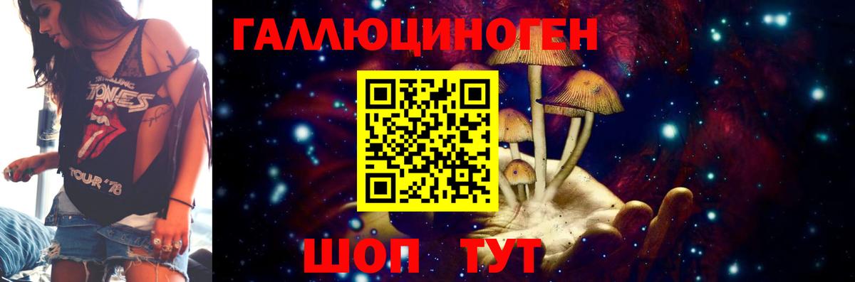 Галлюциногенные грибы Psilocybine cubensis Ангарск