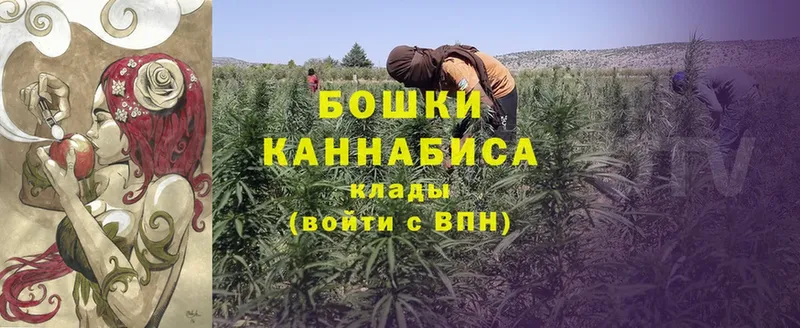 Бошки марихуана THC 21%  купить наркоту  Ангарск 